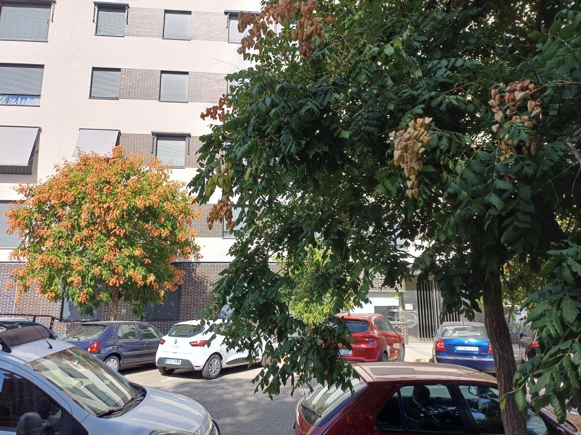 Estudios Nuevos Madrid Centro ภายนอก รูปภาพ