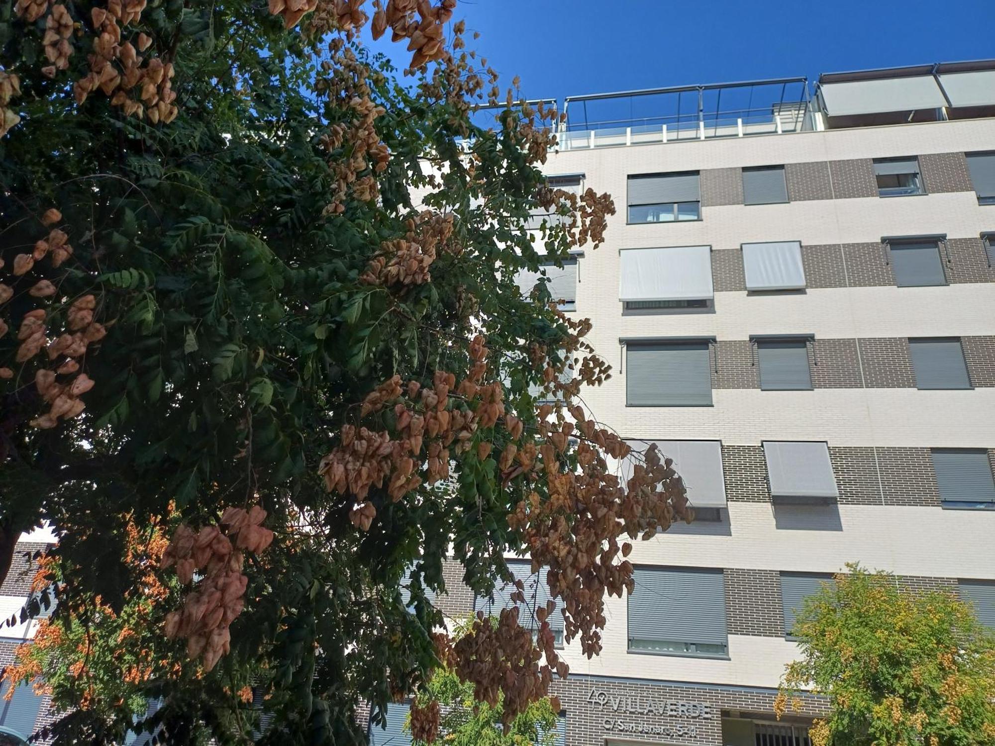 Estudios Nuevos Madrid Centro ภายนอก รูปภาพ